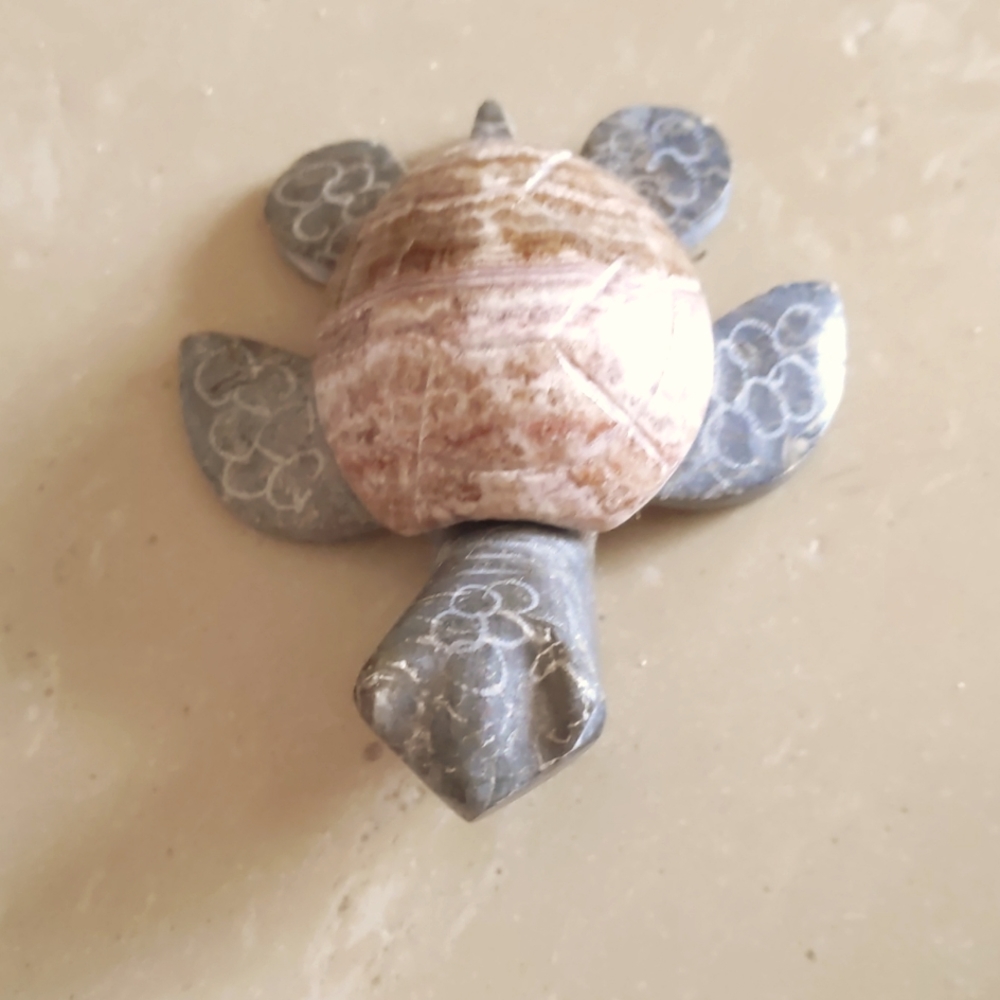 Hawaiian turtle